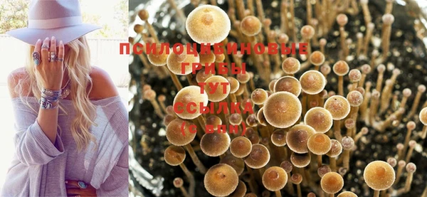меф Ветлуга