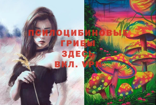 соль курить ск Весьегонск