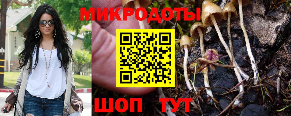 Псилоцибиновые грибы ЛСД  Галлюциногенные грибы ЛСД  Заринск  Вход с VPN 